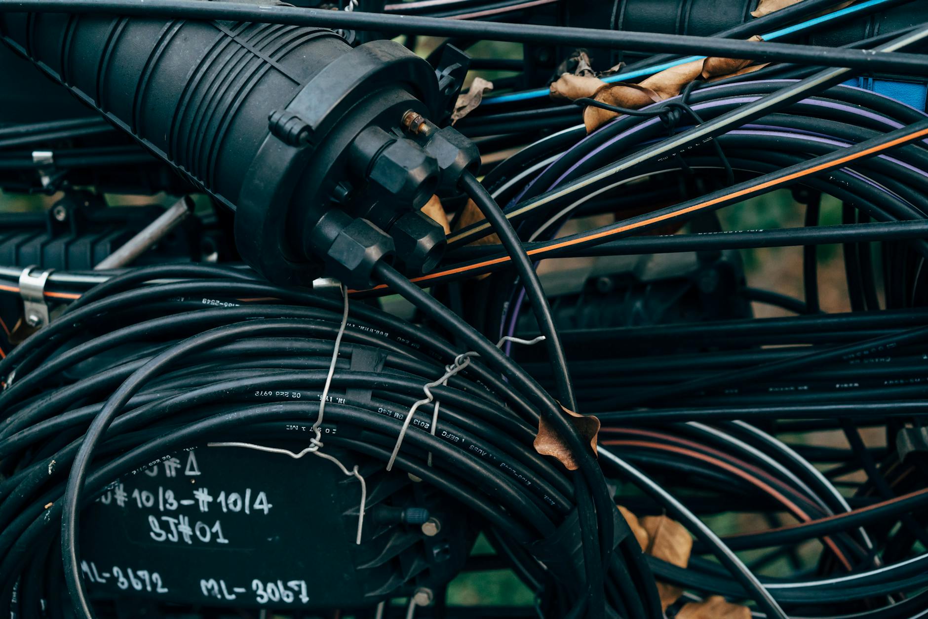 Massive Network Surge Followed XRP Rally to 2-Month Peak