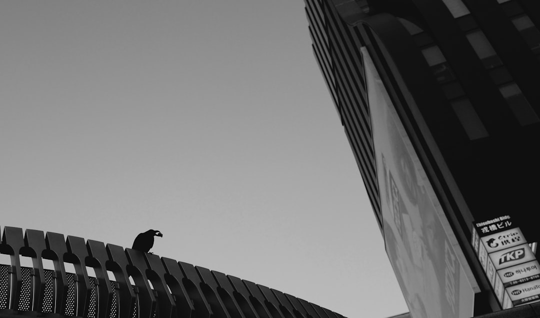 Metric That Preceded Every Bitcoin Rally Flashes Green