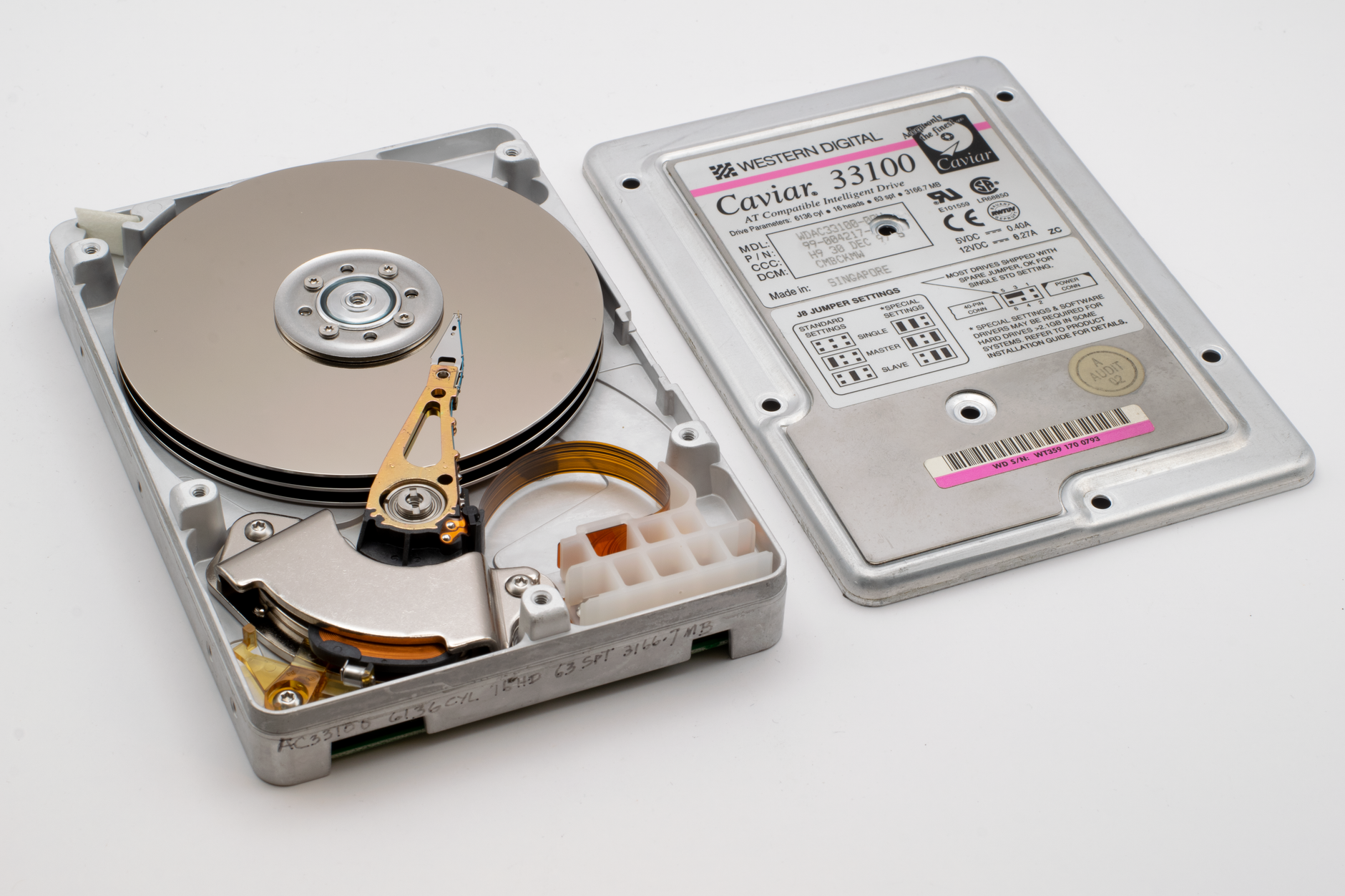 Micron Western Digital Climb After Iran Truce Sparks Rally