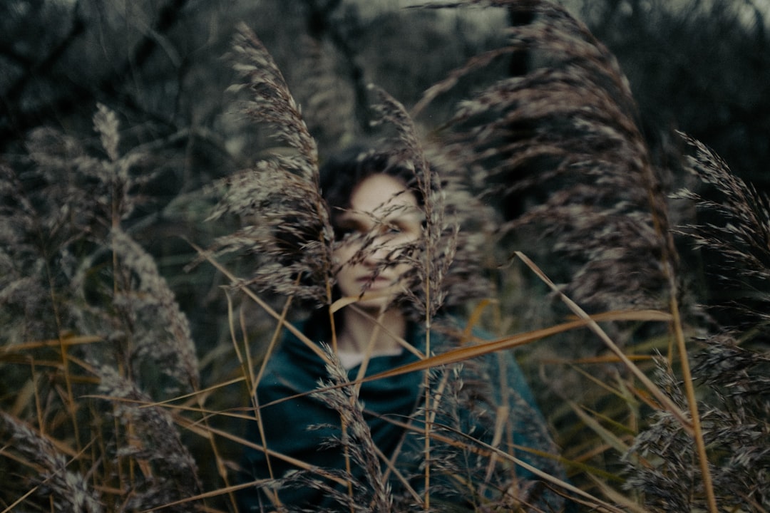 Million Horror Film Sparks Summer Comeback for 30-Year-Old Franchise