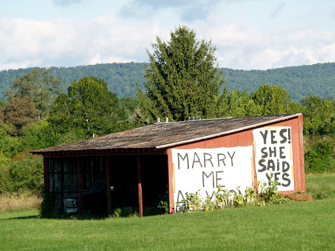 Missing American Marriage Market Reshapes U.S. Households