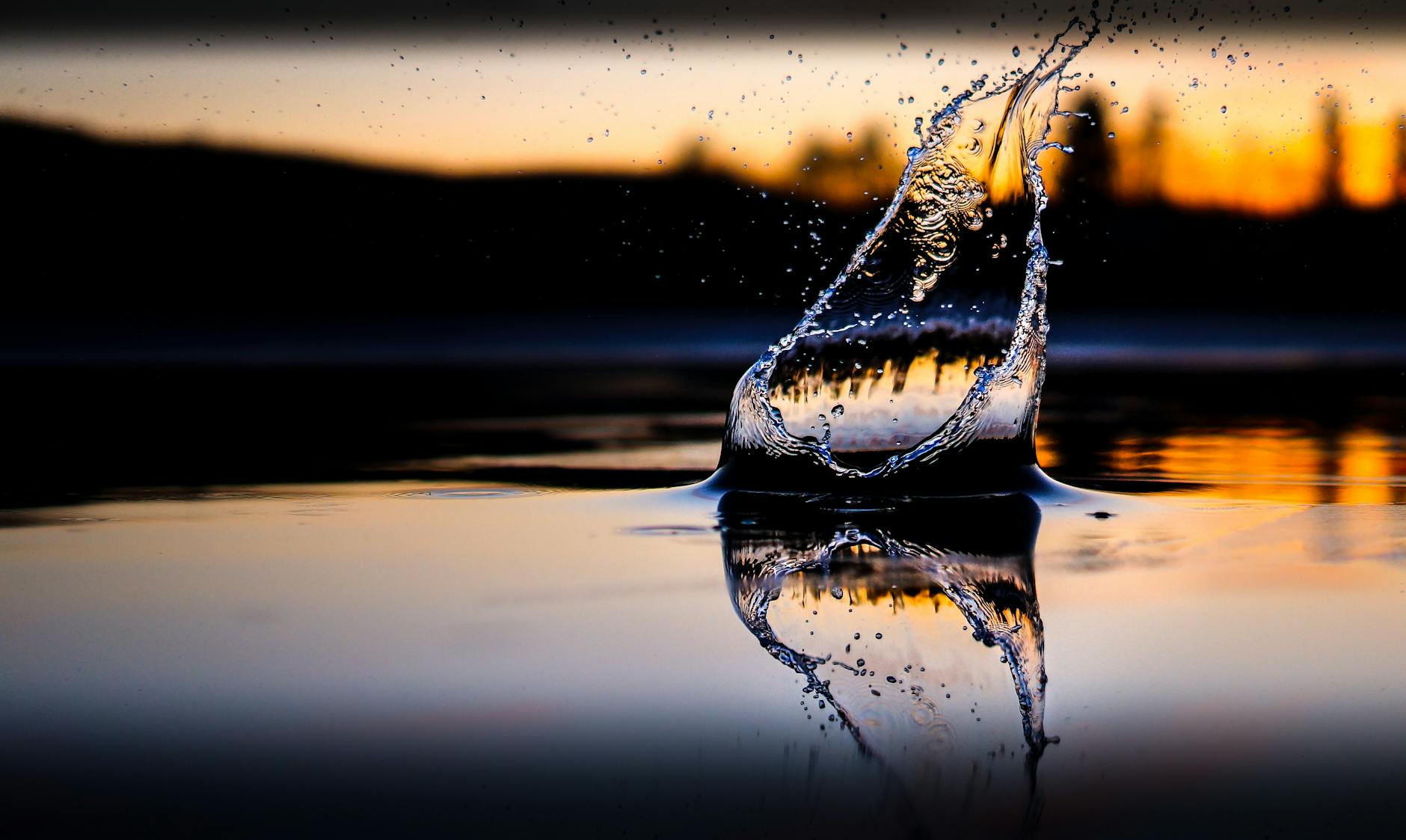 Molson Coors Could Drop 3% as Barclays Cuts Target to $40