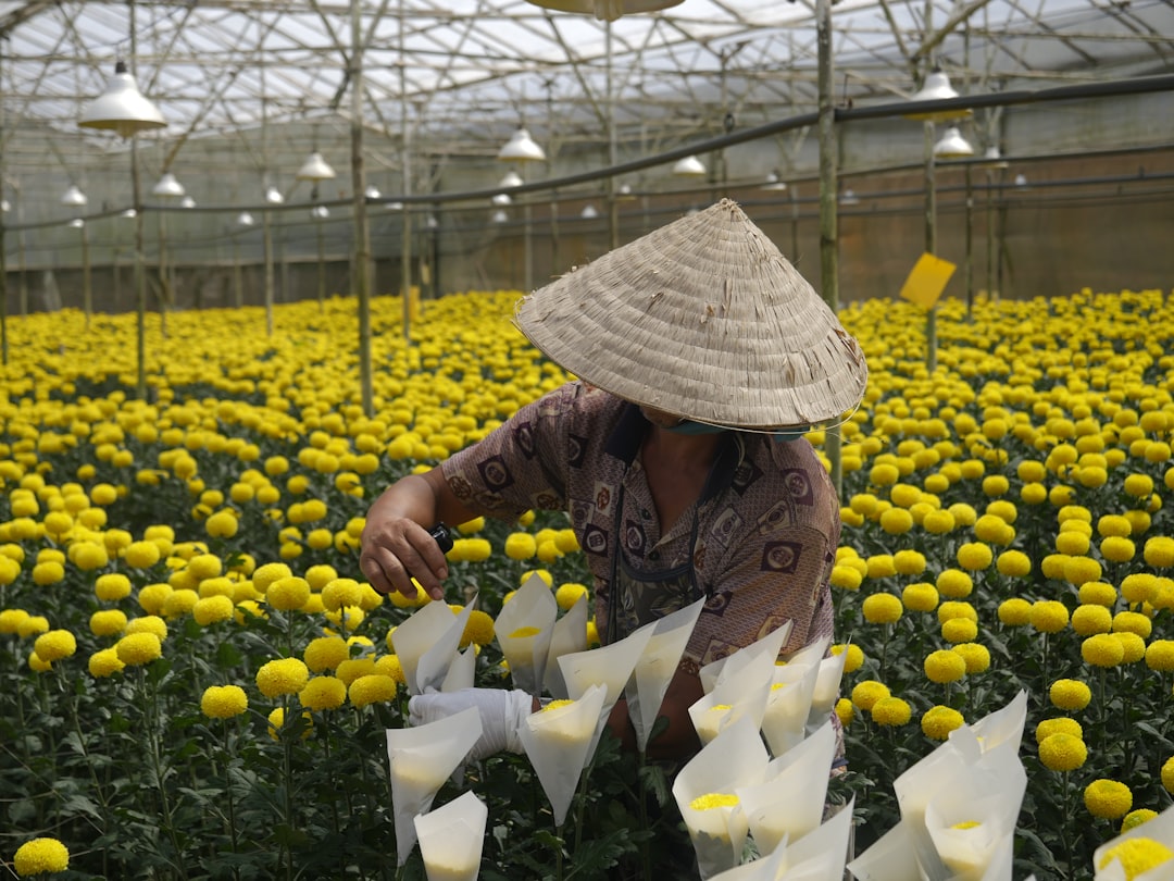 More Than Manufacturing: Vietnam Aims to Lead Asia’s Culture