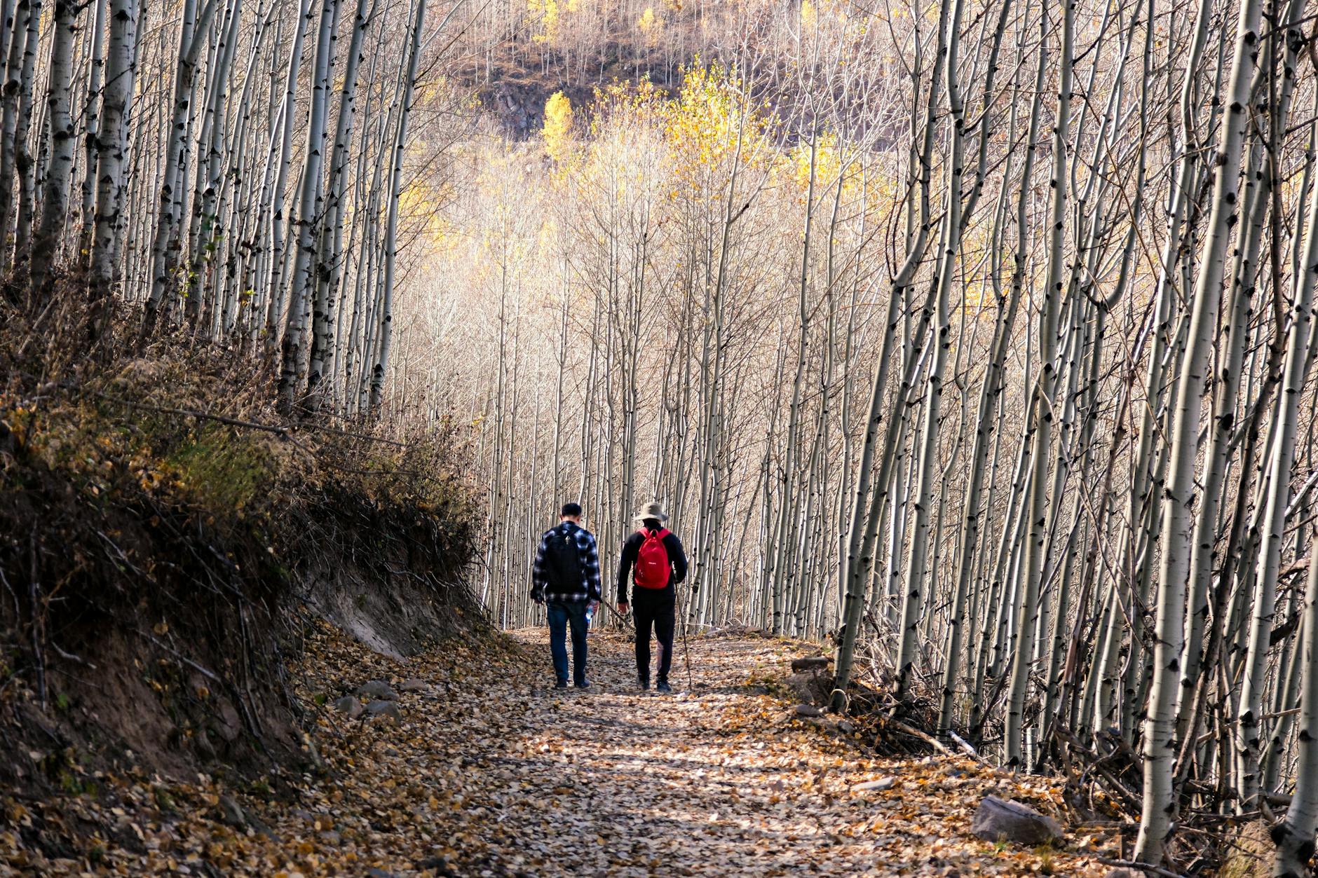 New Car Loan Interest Deduction Reshapes This Tax Season