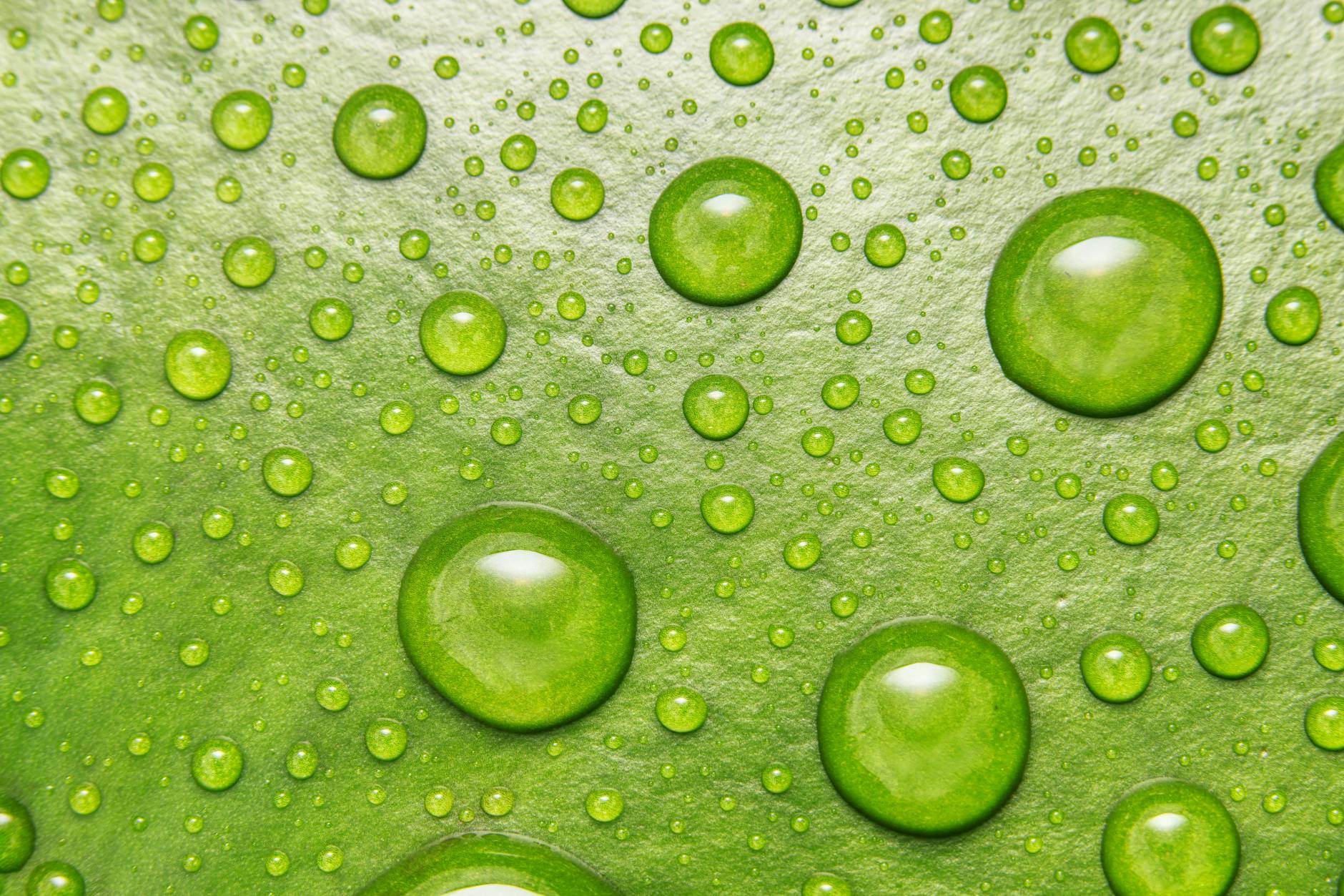 Novo Nordisk Lilly Shares Slump on Price-Cut Loom Plans