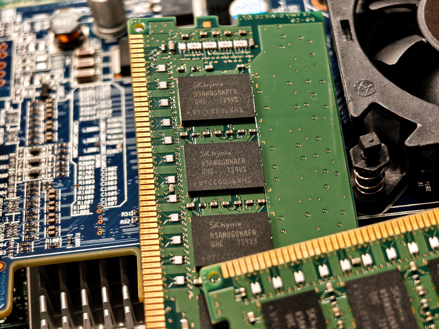 NVIDIA Might Immune Semiconductor Sell-Off, Analysts Say