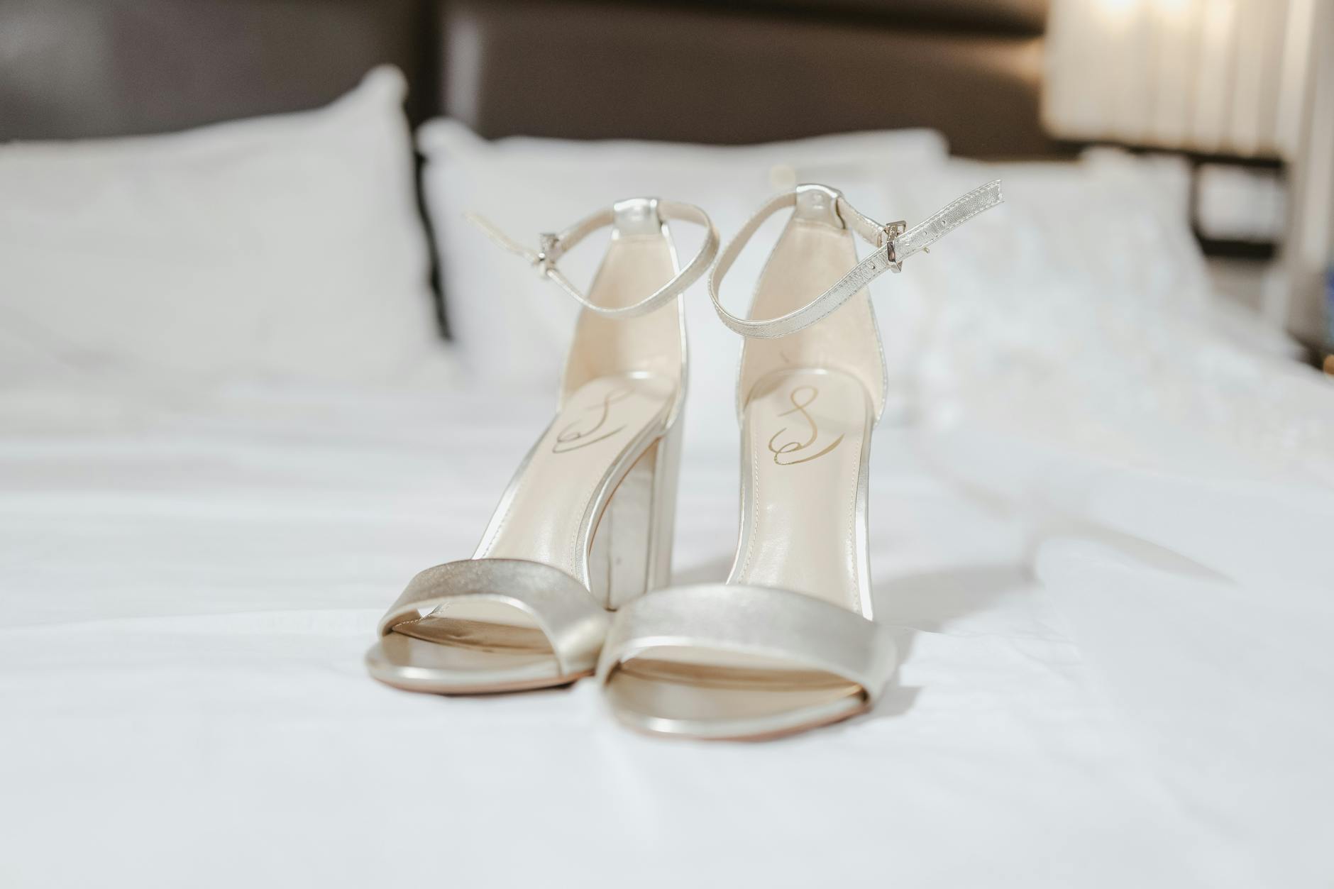 PACT Announces $PACT Token Listing on Kraken, MEXC, Gate