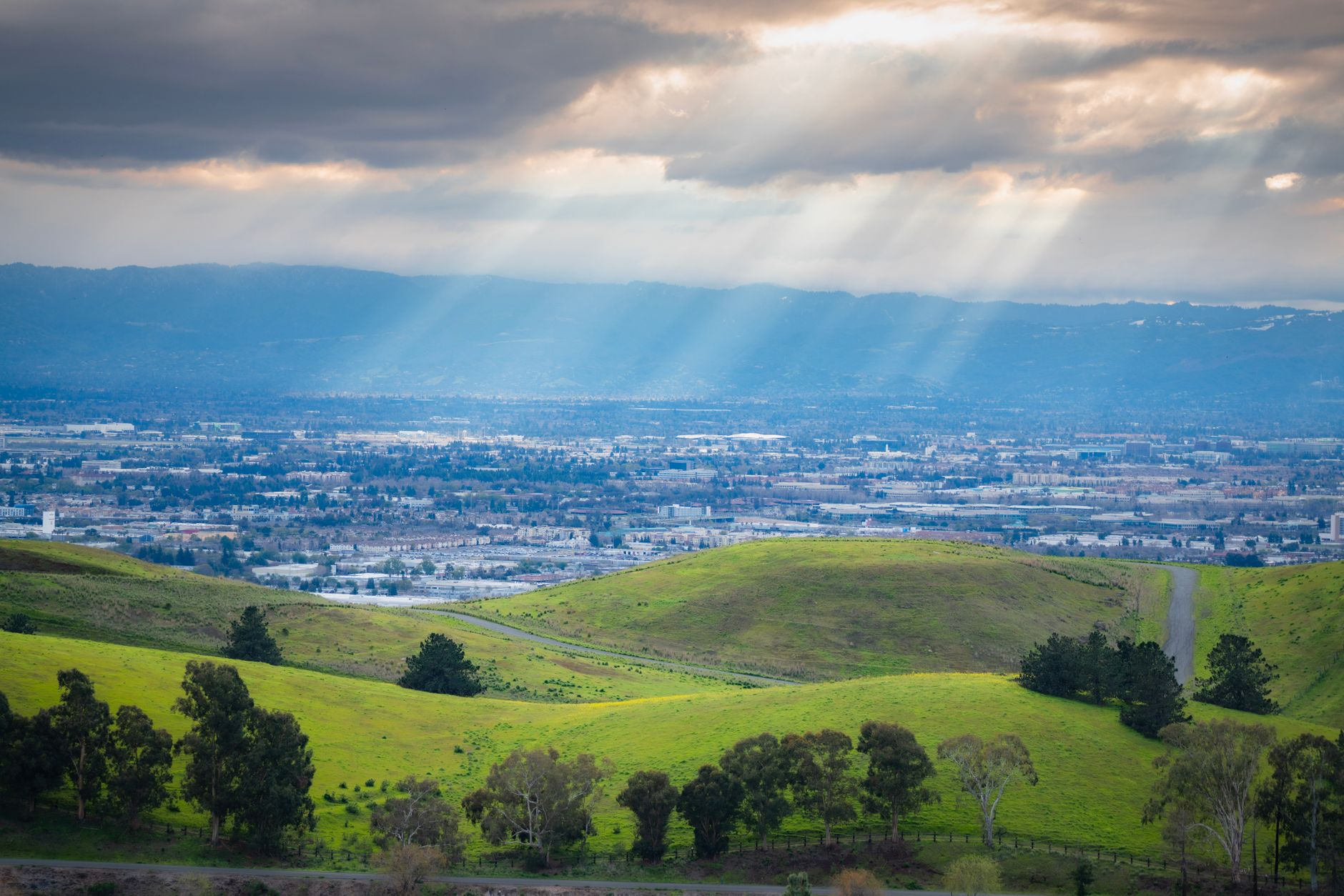 Palo Alto Soared: Should Investors Rotate to CrowdStrike