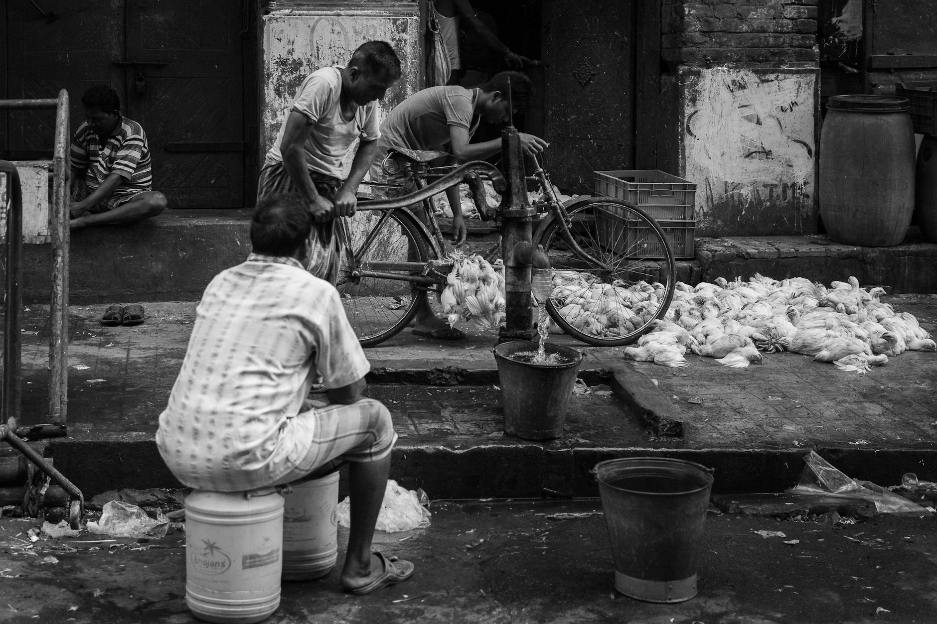 Polkadot (DOT) Pumps Daily as Markets Rally Broadly