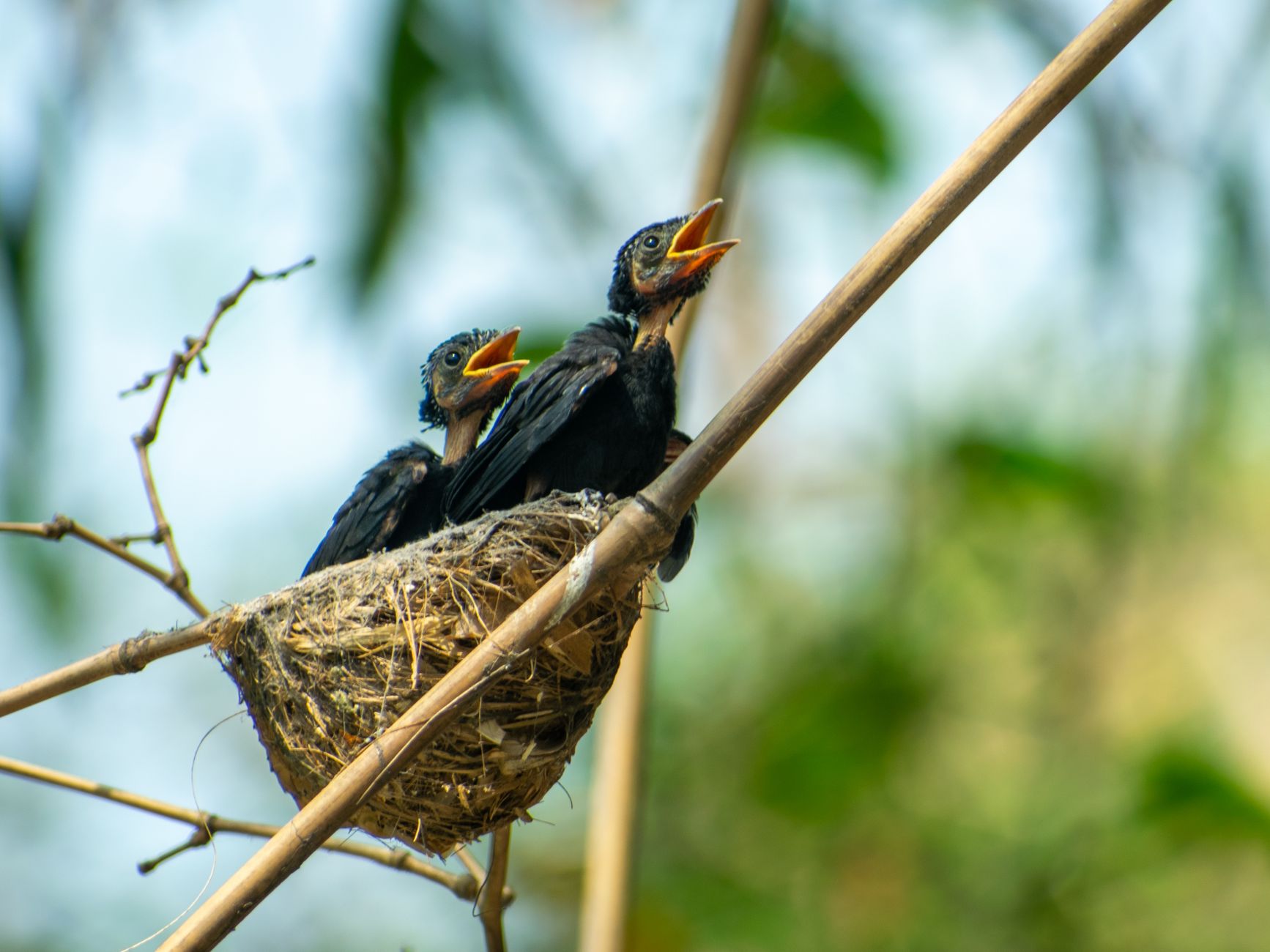 Retirees Learn $800,000 Nest, Real Spending Shrinks