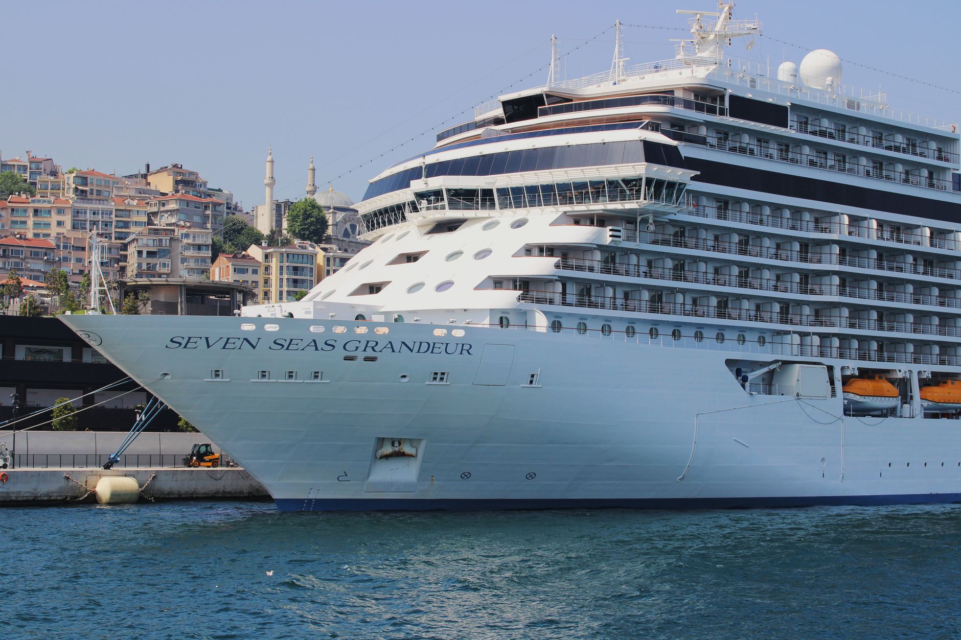 Retiring Cruise Ship Dream: Costs, Risks, and Reality