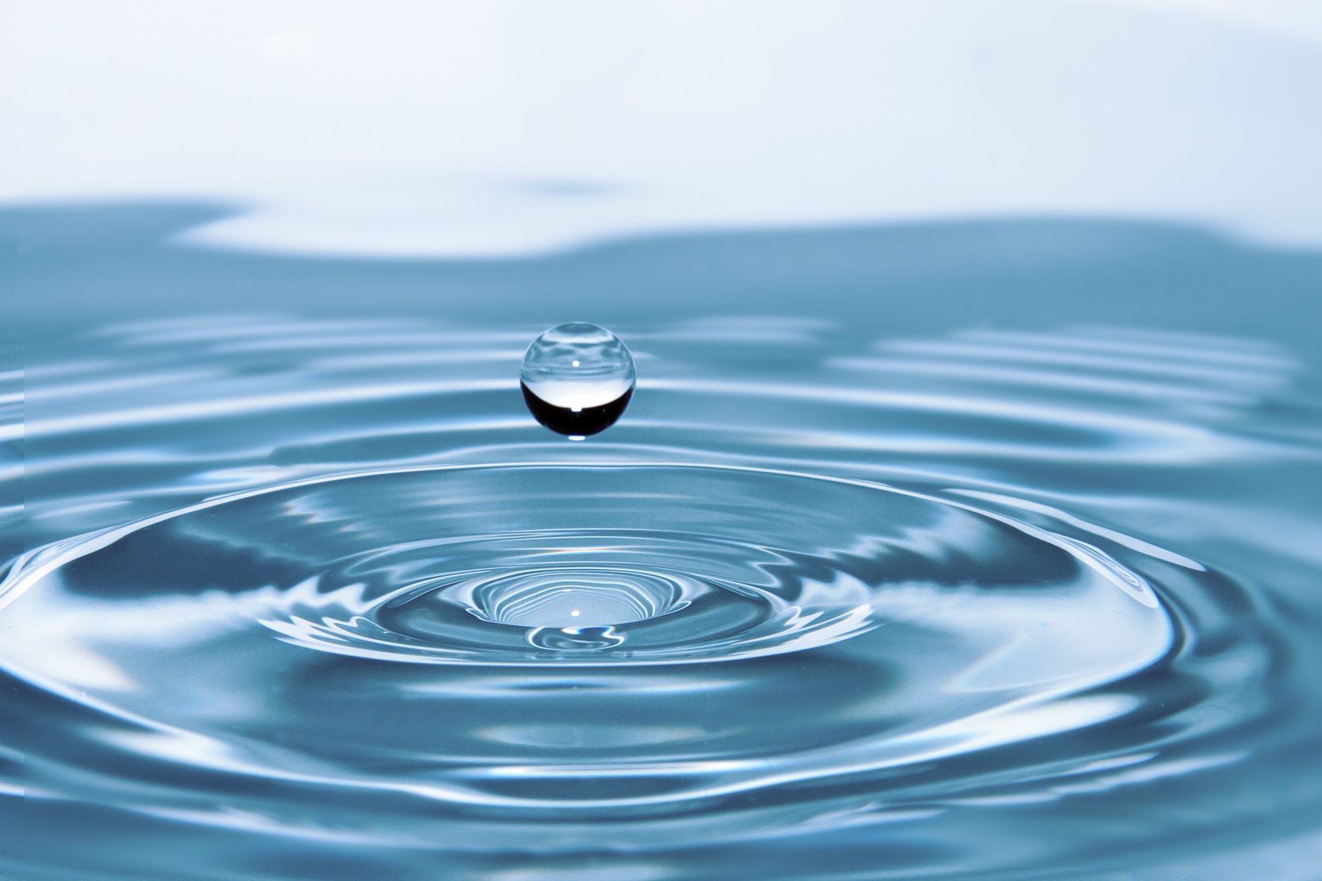 Ripple Becomes Premier Member of the X402 Foundation