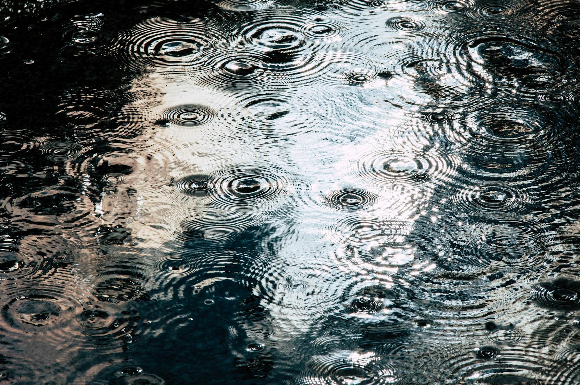 Ripple Bounce Back After 19-Month Low: XRP Eyes Recovery
