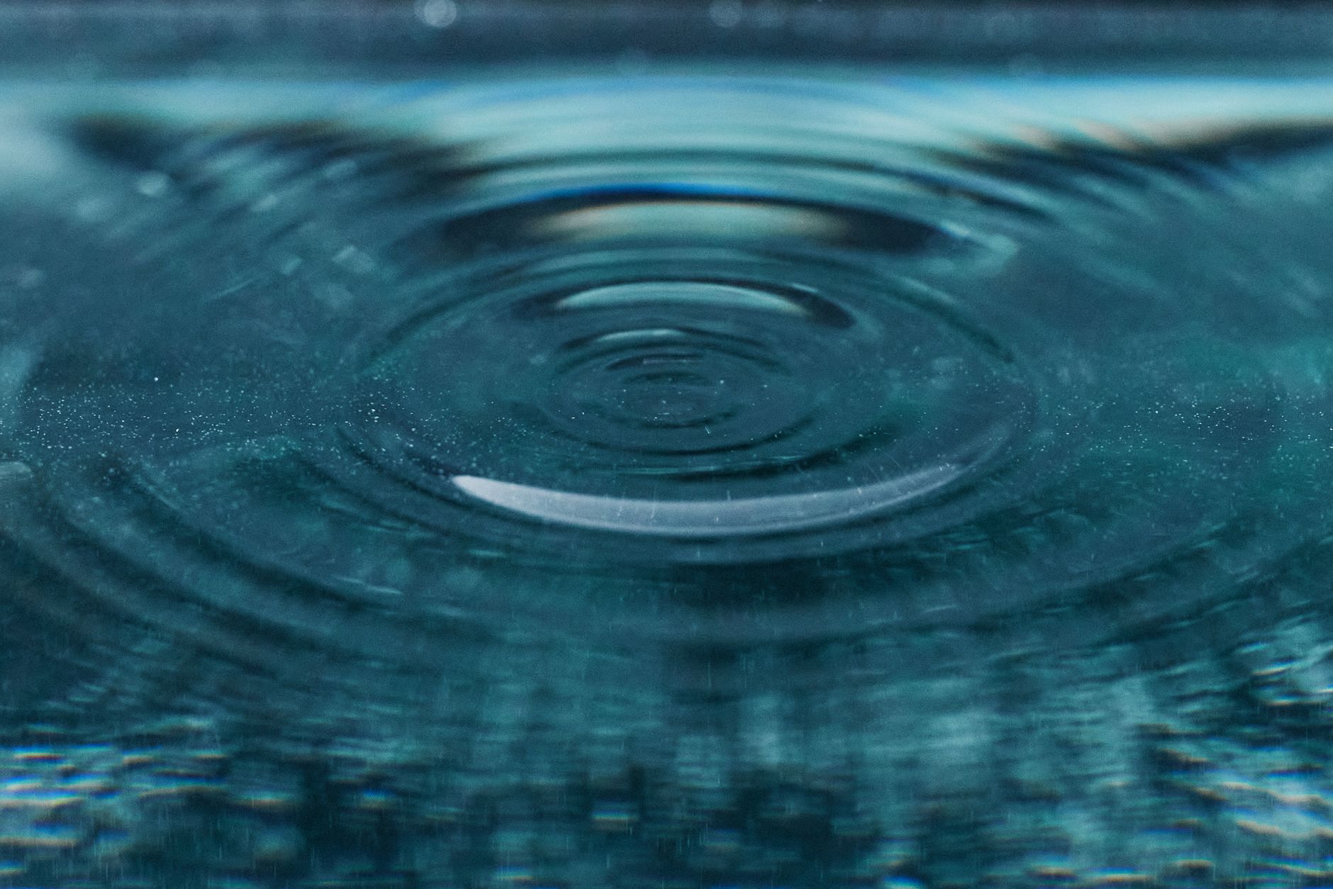 Ripple, Coinbase, Circle Join Linux X402 for AI Payments