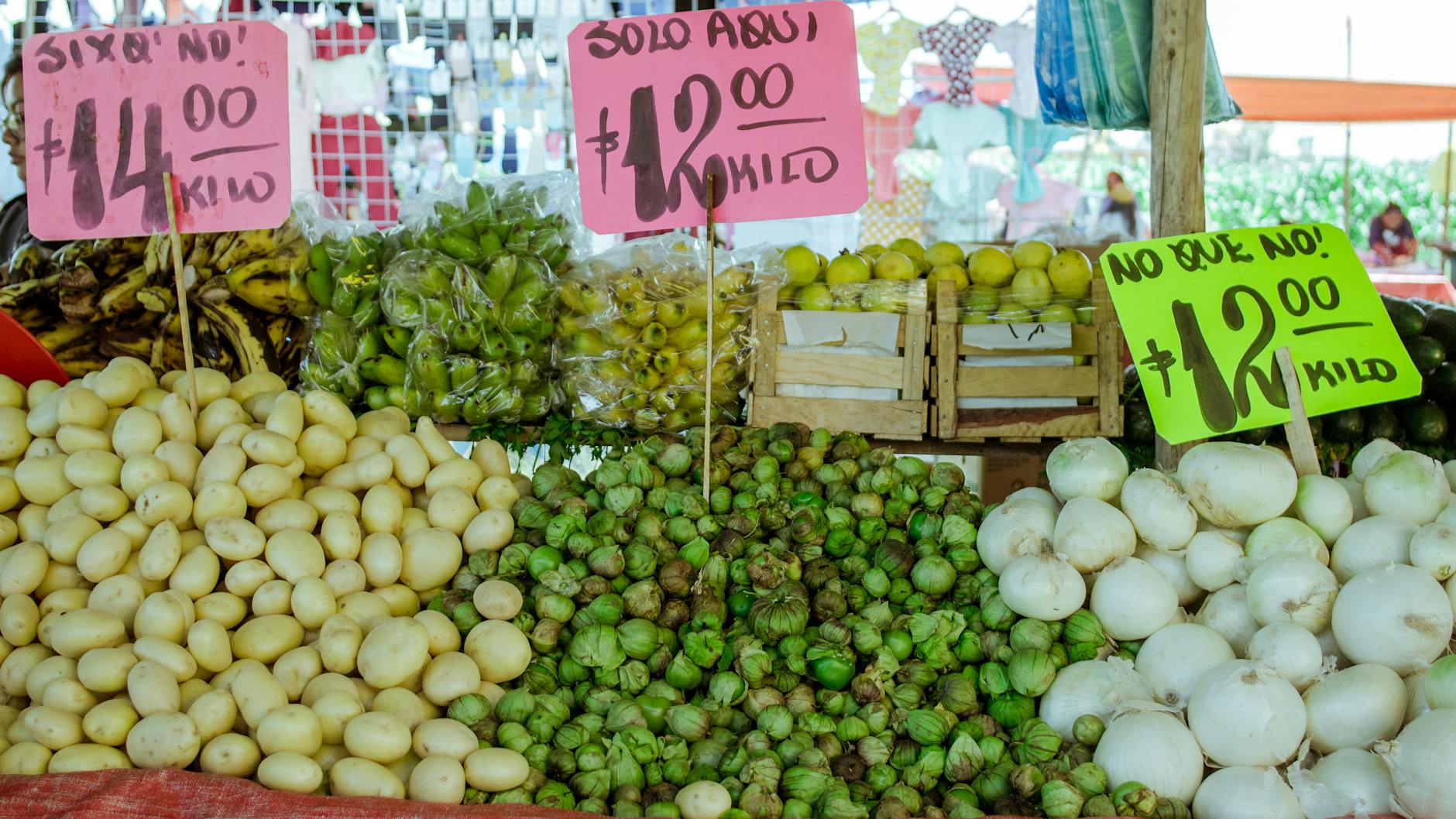 Ripple Price Alert: Last Signal Spikes XRP to New Highs