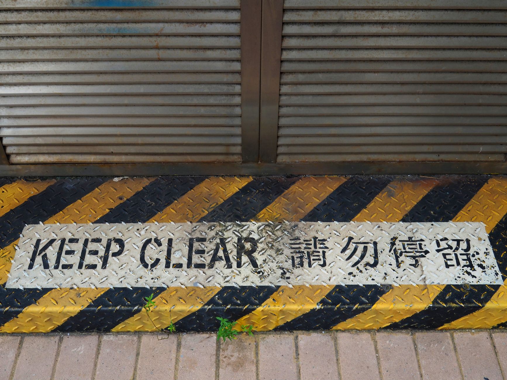 Ripple’s (XRP) Breakout Isn’t Real Until Key Level Falls