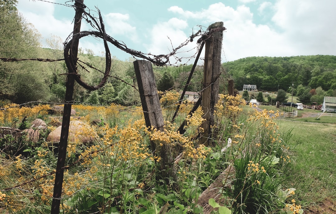 Rural America’s Farms Already Struggling Ahead of El Niño