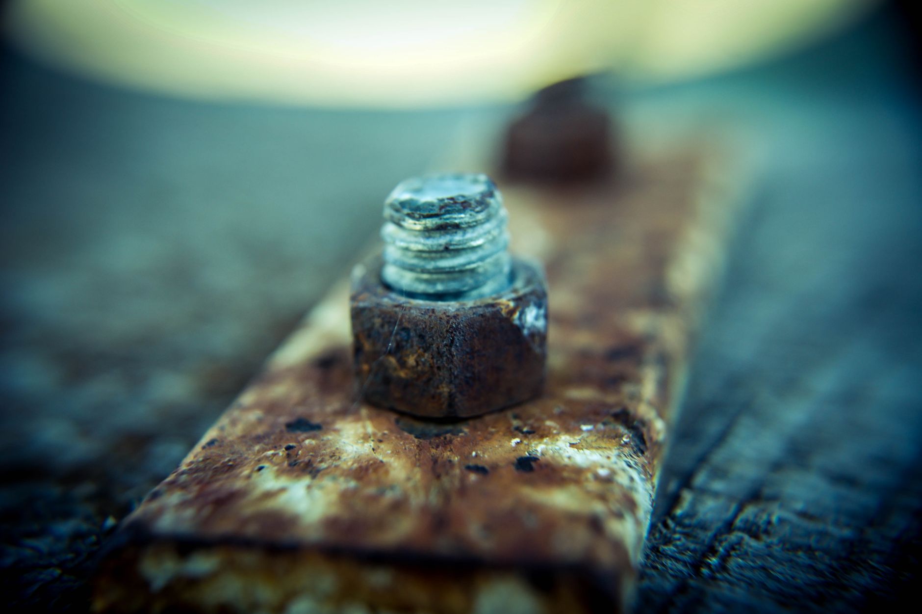 Screwworm Crisis Persists: U.S. Still Years From Fix