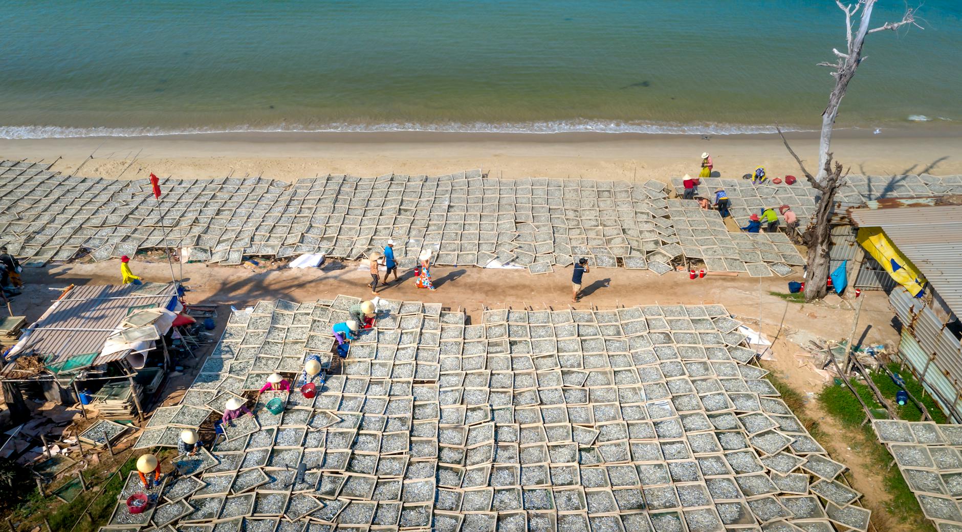 Shadowy Industry Helping Small Firms Costs Climb Rapidly