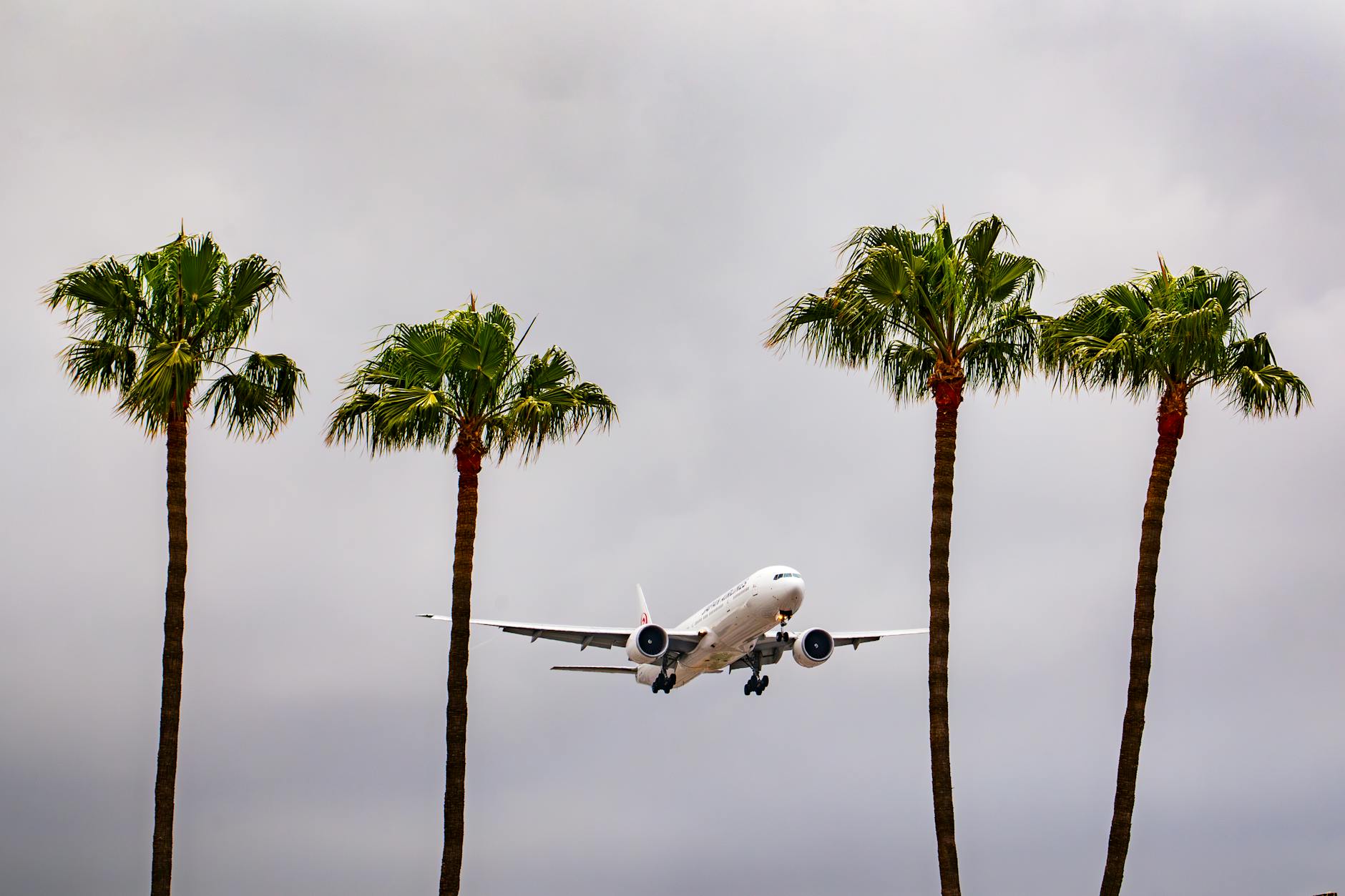 Singapore Airlines Defends Decision on Air India Investment