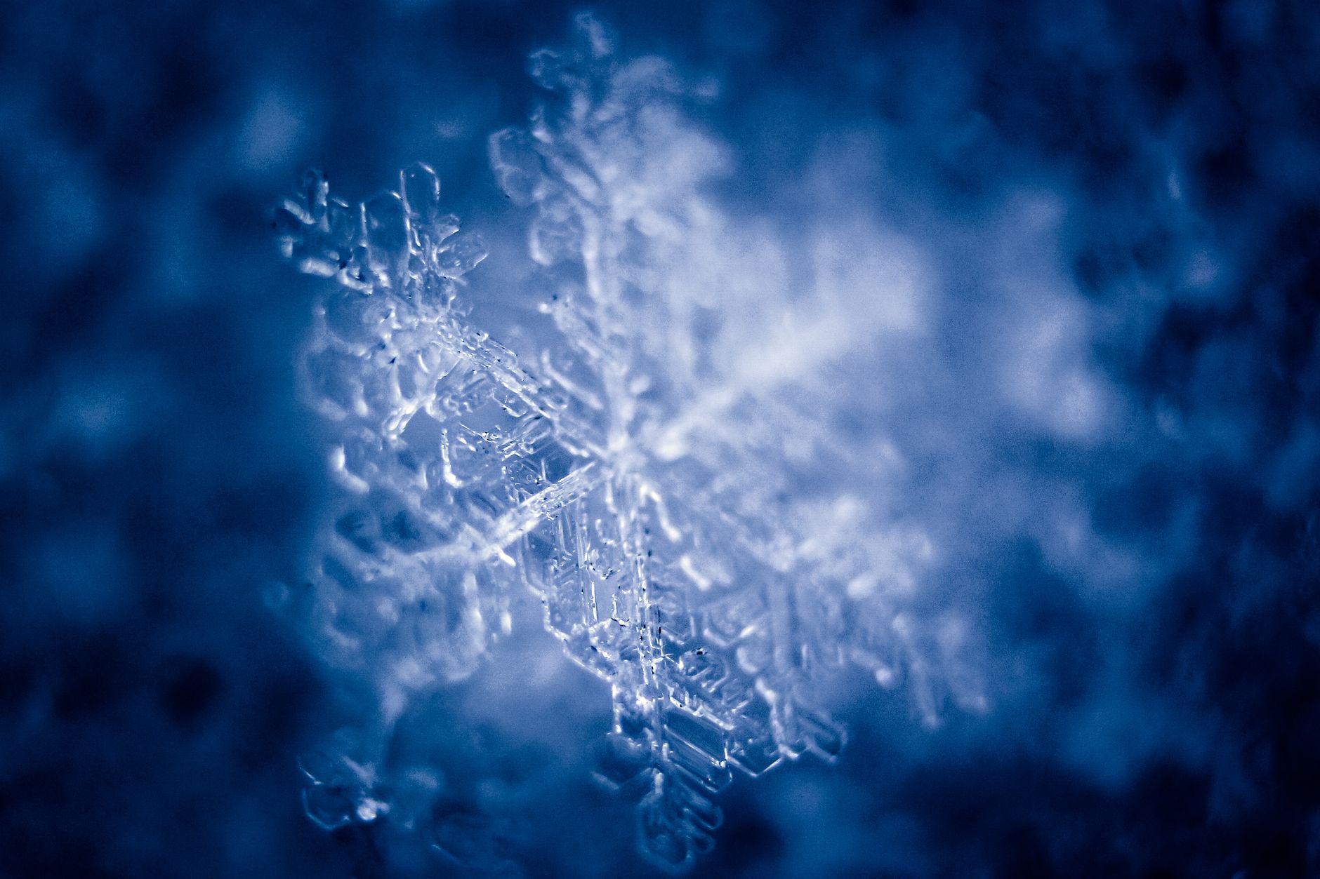 Snowflake Says There’s Myth at Heart of Org Charts