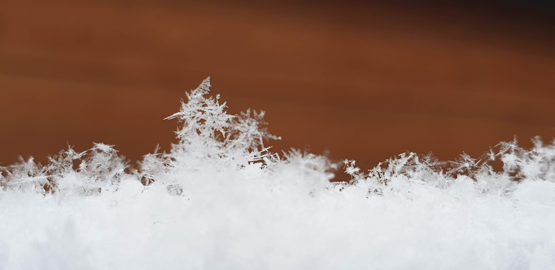 Snowflake Stock Price Prediction for 2026, 2027 and 2030