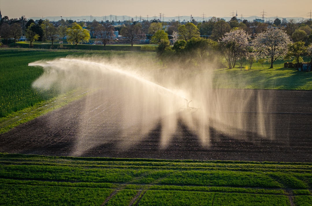 Soaring Fertilizer Prices Could Strain U.S. Farms in 2026