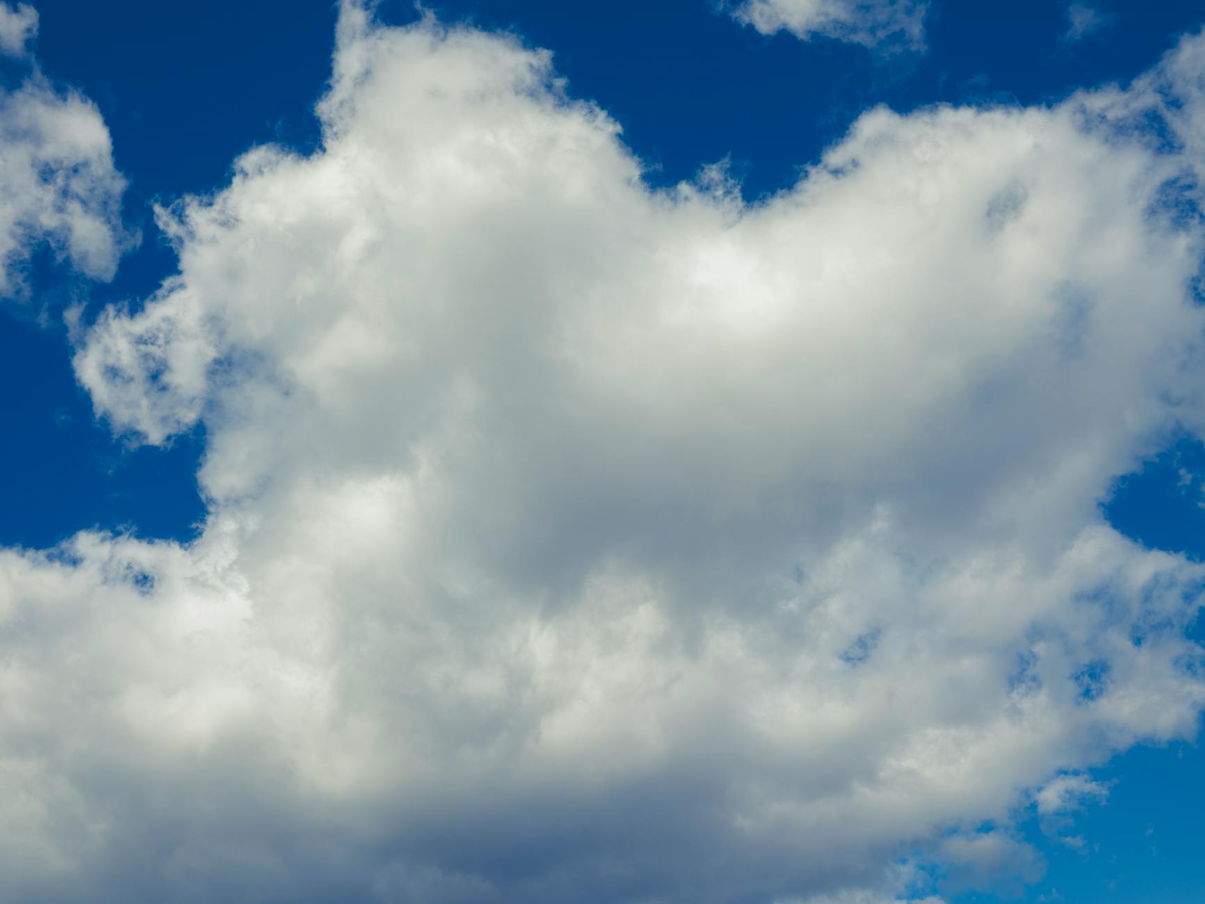 Software Stocks Bounce as Nvidia Falters, Rotation Gains