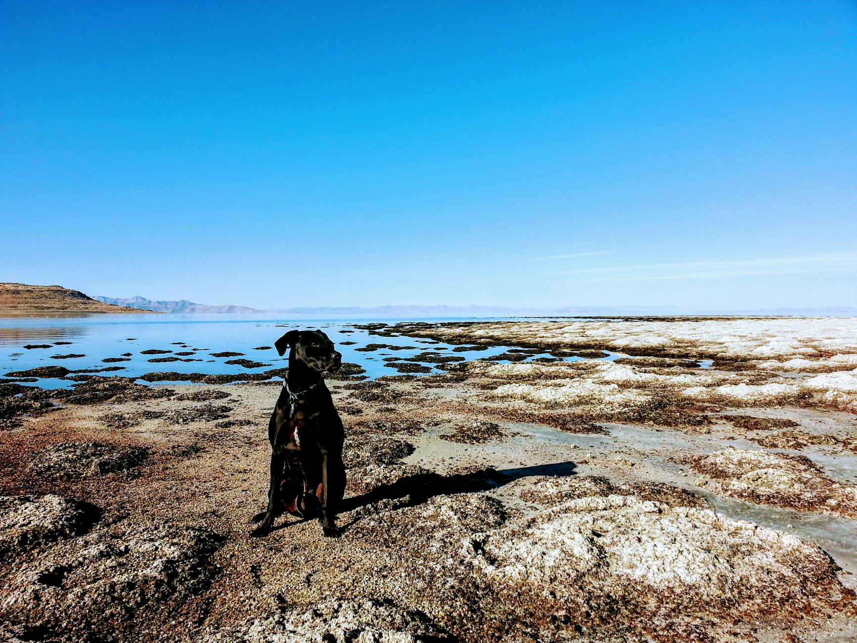 That Behind: Syracuse Claims Snow Tech Cuts Complaints