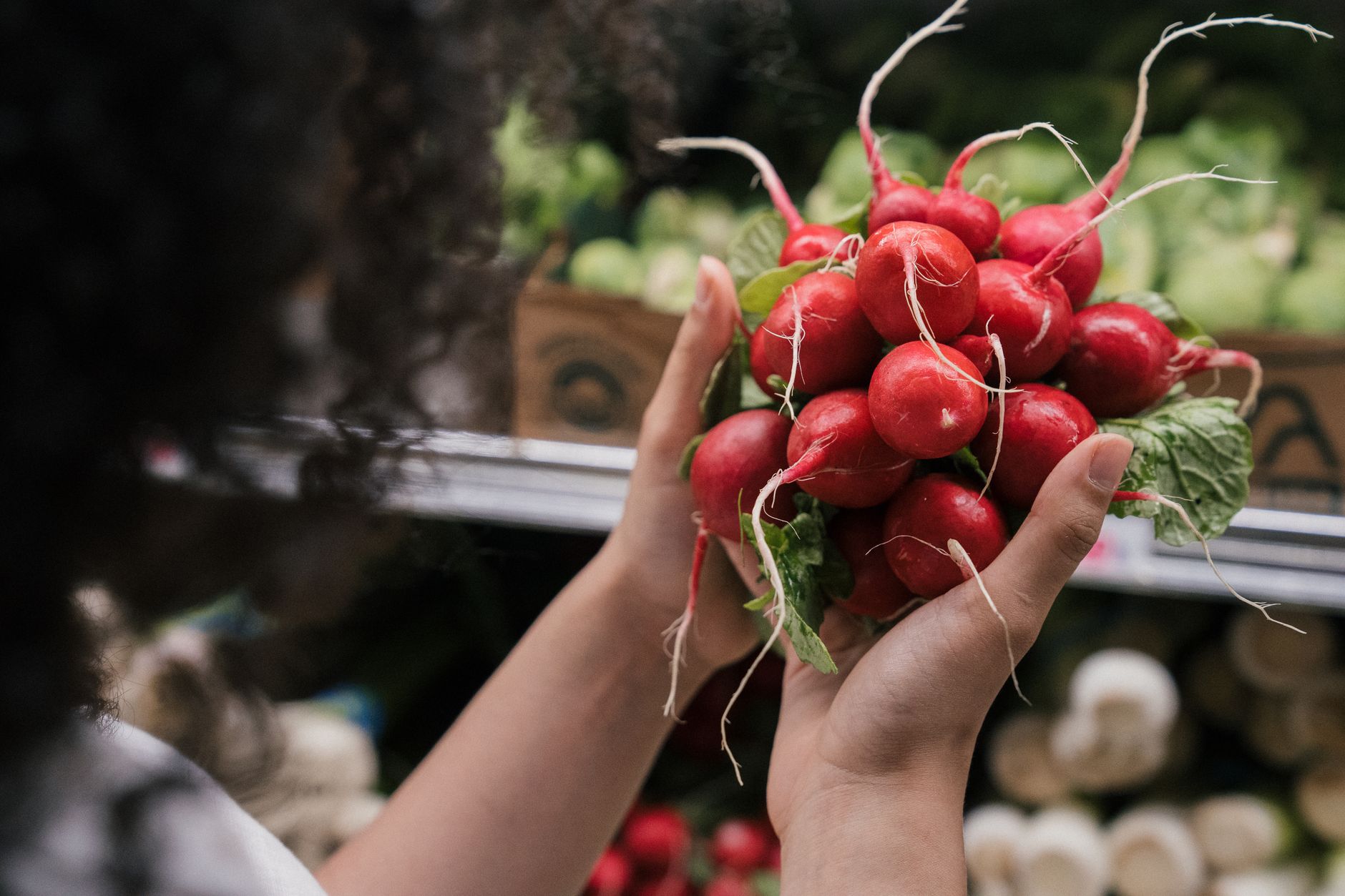 The Case for Holding DGRO in Your Roth IRA Today