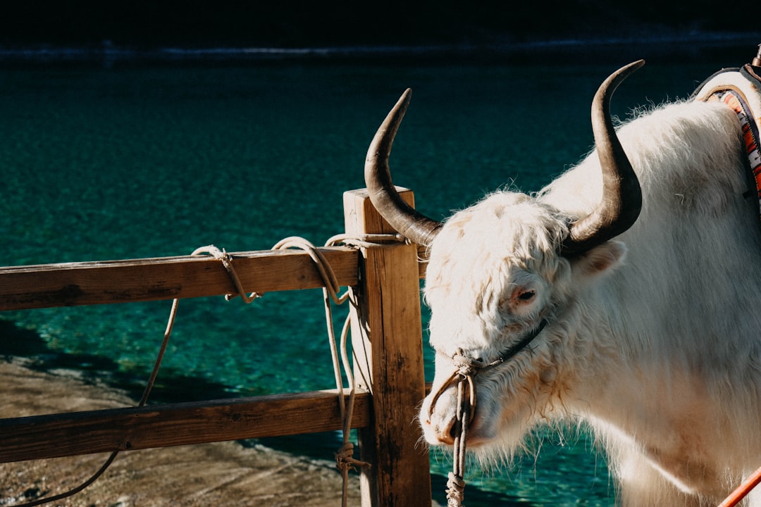 This Relentless Bull Market Faces Its Biggest Test Yet