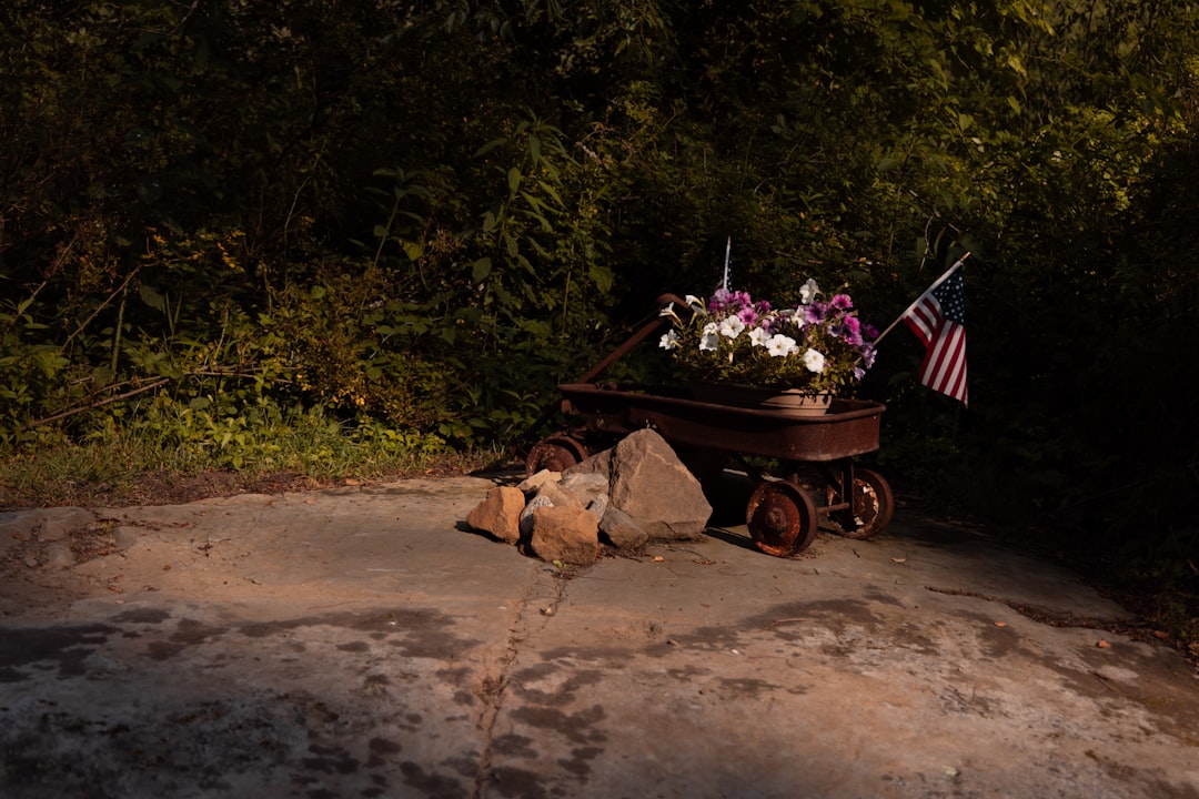 Trump Grieves with Families at Dover Honor Transfer Ceremony