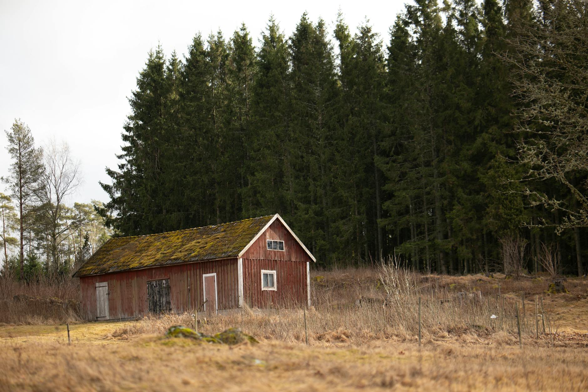 Trump Targets Biden-Era Rule to Stabilize Child Care