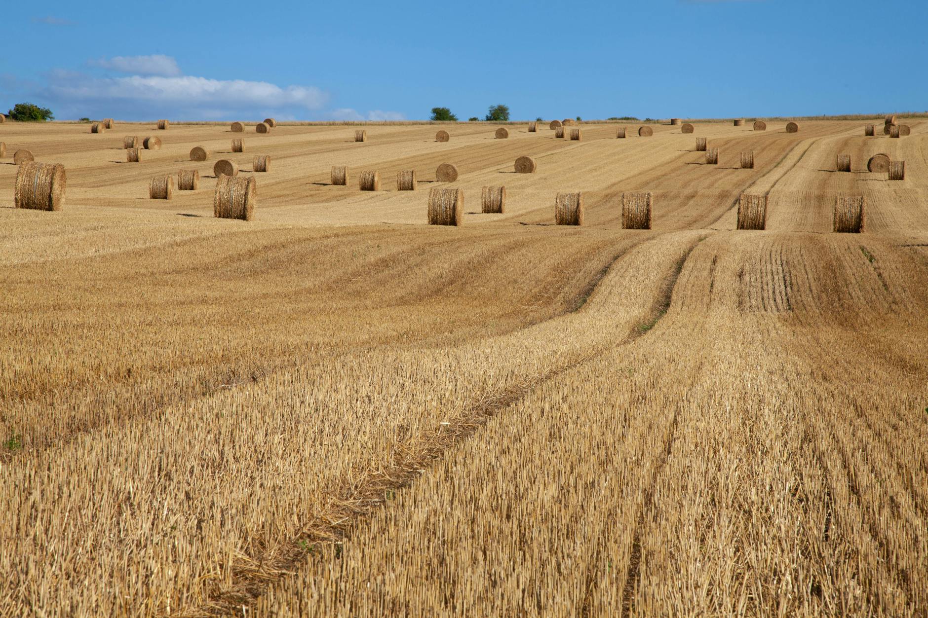 Under $10 but with Yield: 3 Small-Cap Oil Bets for 2026