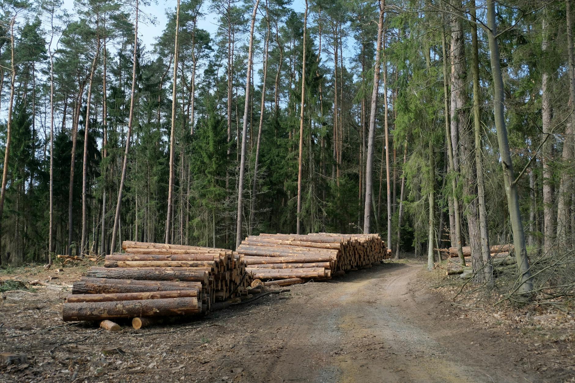 U.S. Trillion Natural Resources Outweigh Debt, Markets Rally