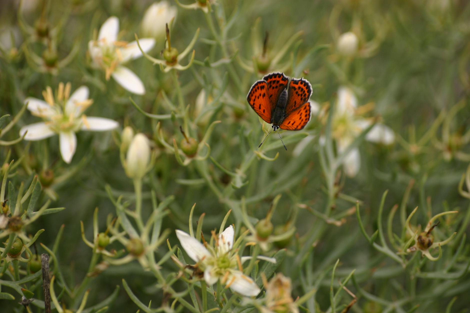 U.S. with Iran Forces Roil Markets and Households