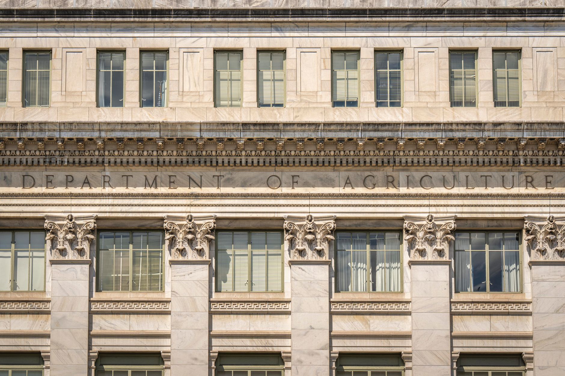 USDA Loan Versus Conventional Mortgage: Which Fits?