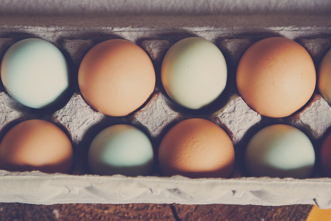 VC Says ‘All Your Eggs in AI Basket’ Trade Cracking