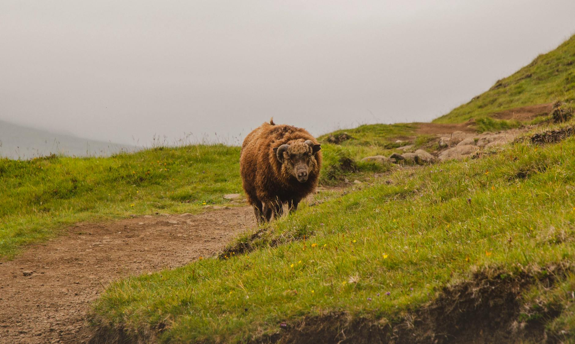 Viral Deepfake Casts Musk Stir AI Job Alarm Across Markets