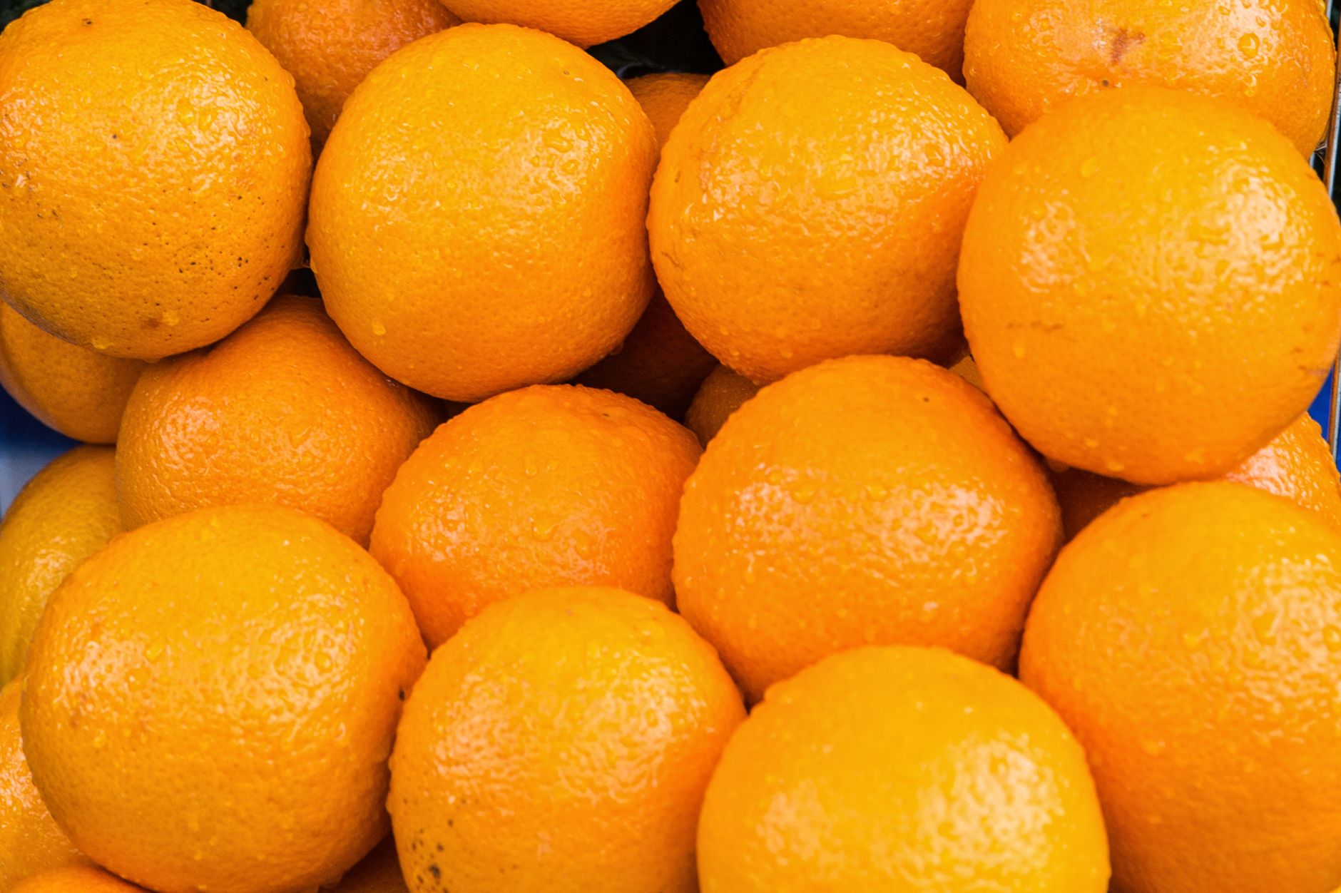 Vitamin Improve Your Energy: Daily Dose Guide for 2026