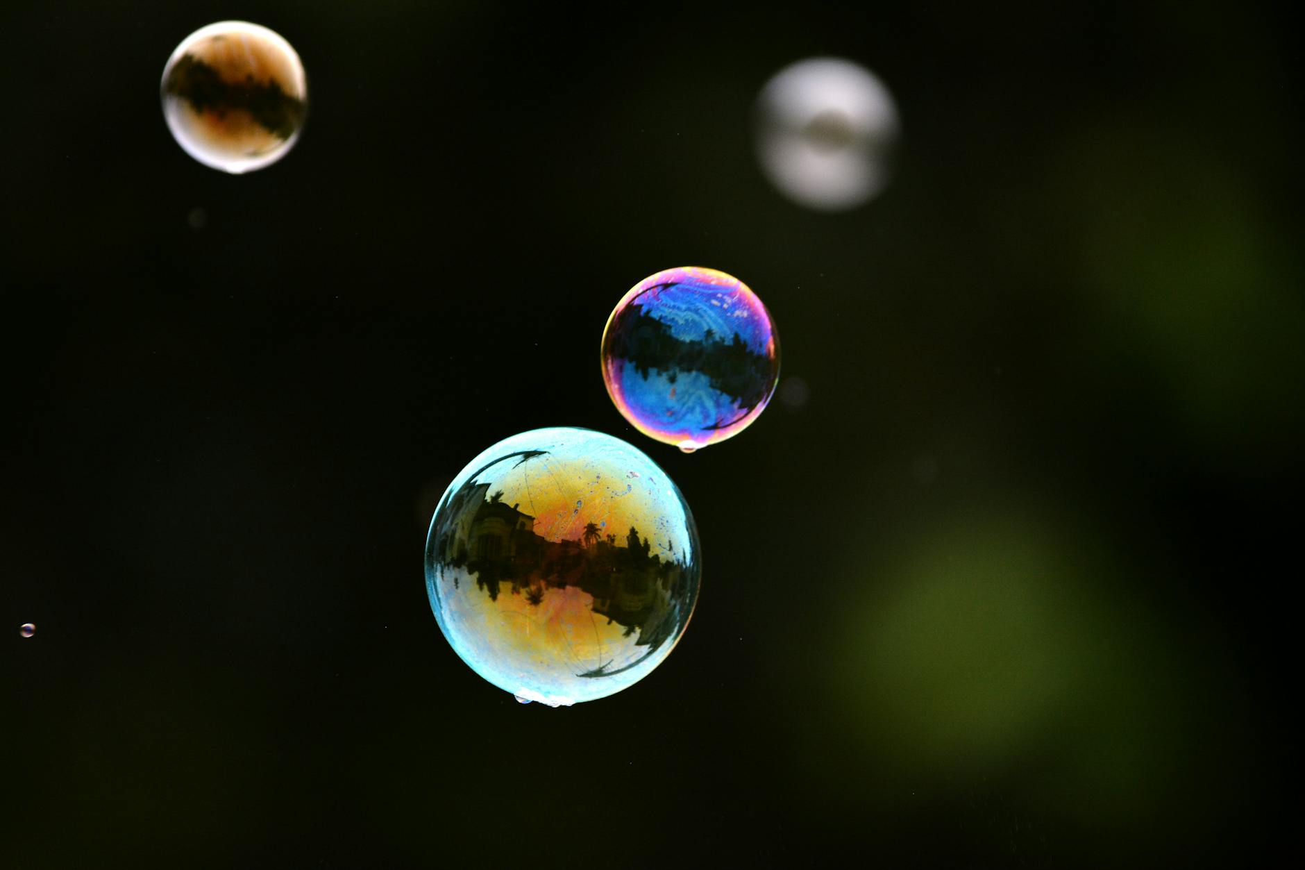 Wells Fargo Warns AI Rally May Become a ‘Euphoric’ Bubble Now in Markets