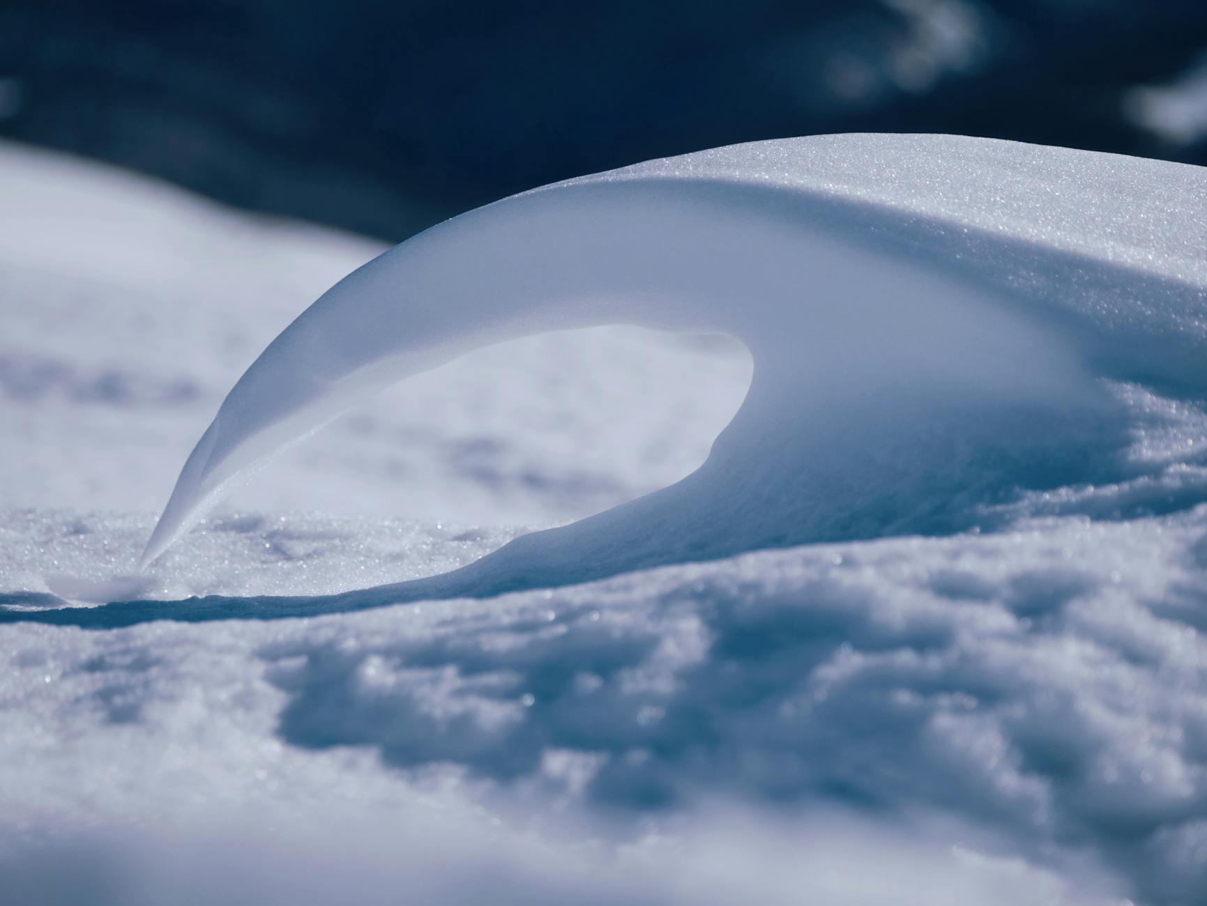 What Avalanche Safety Training Teaches Boards About Risk