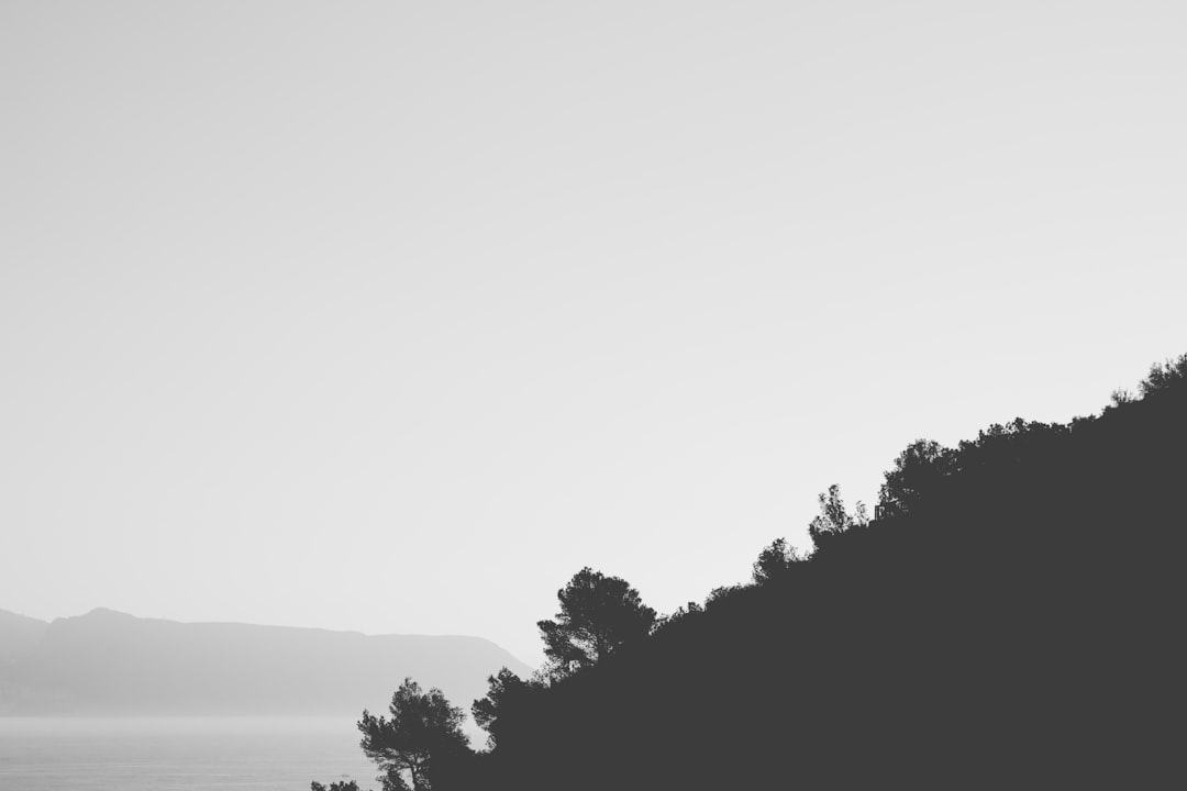 What Happens When You Ignore Slippage? $50M DeFi Swap Fallout