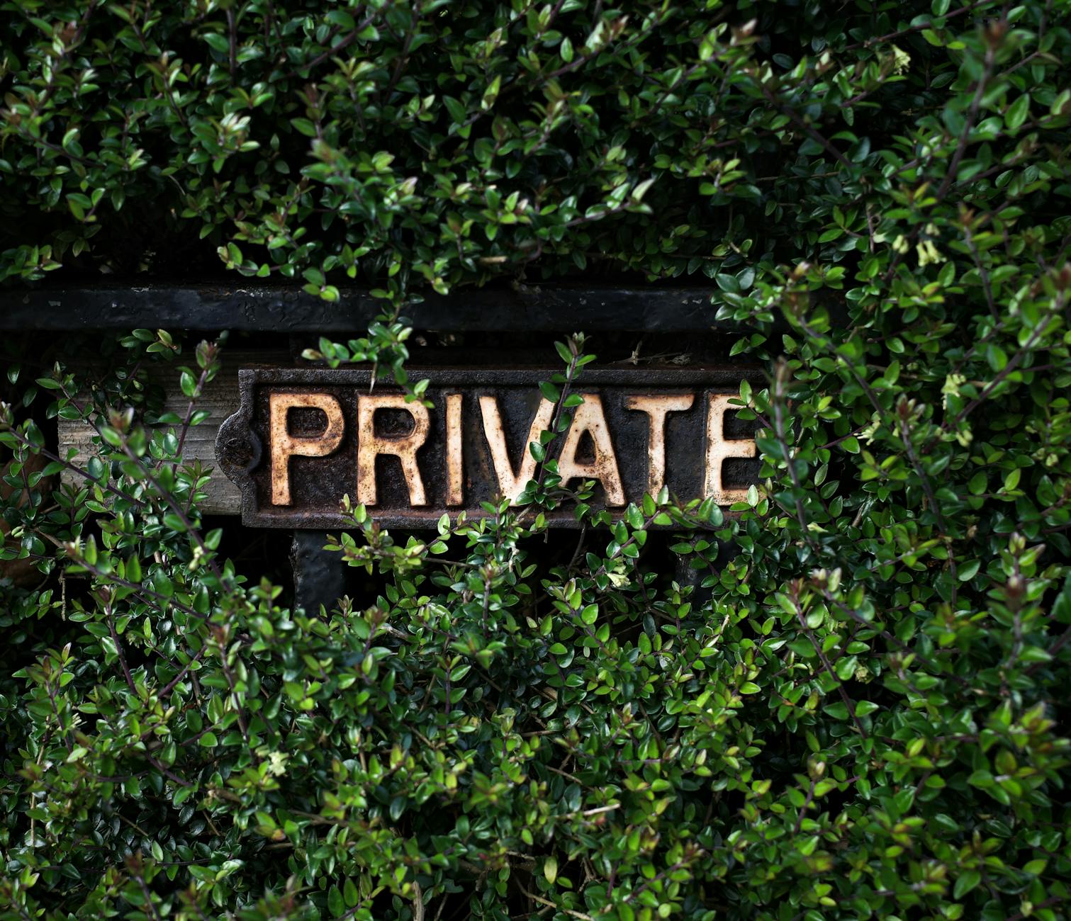 Zcash Just Exploded Privacy Rally Draws Wall Street