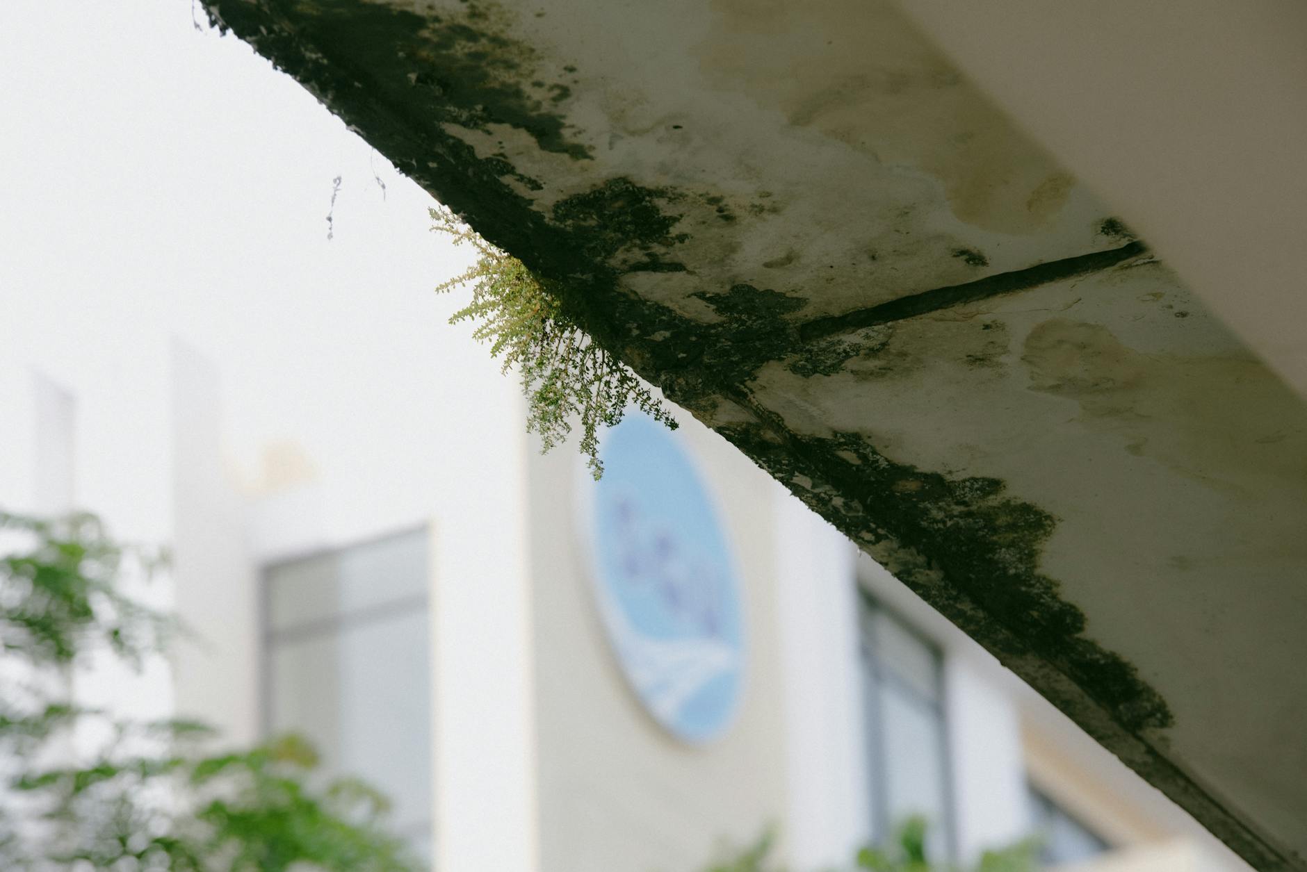 Zillow Says AI Is Reinventing Every Step in Homebuying