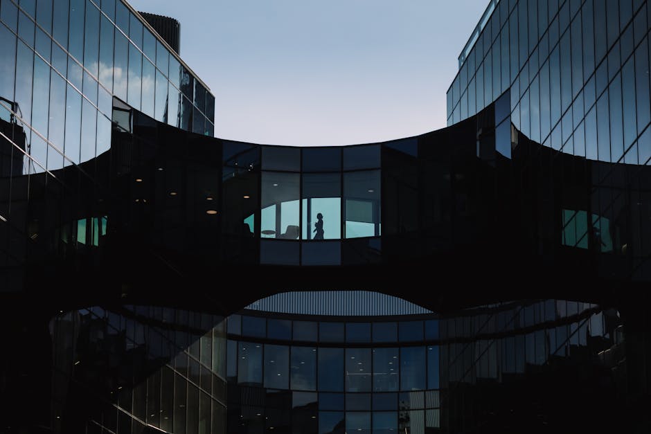 Decision-Making in a World Where Nobody Knows Anything