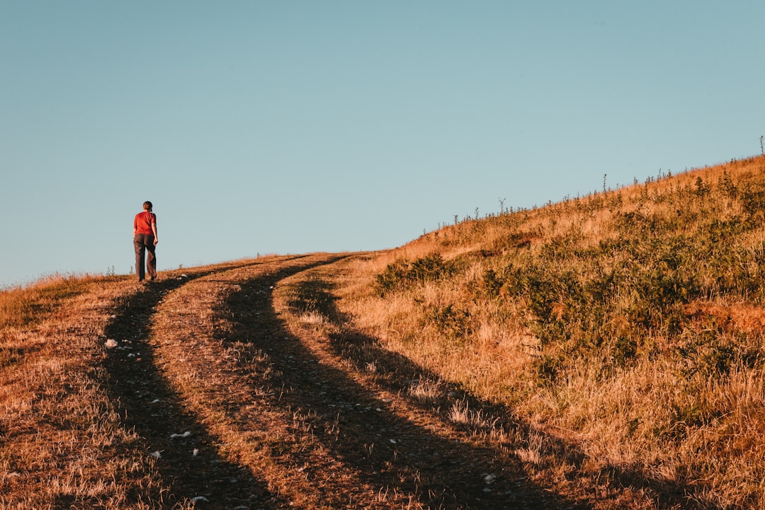 The Path to Long-Term Wealth: Habits That Endure