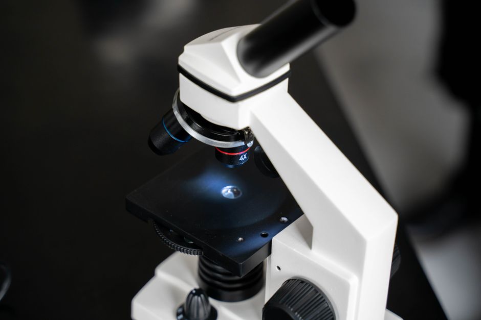 Second Appraisals Under the Microscope