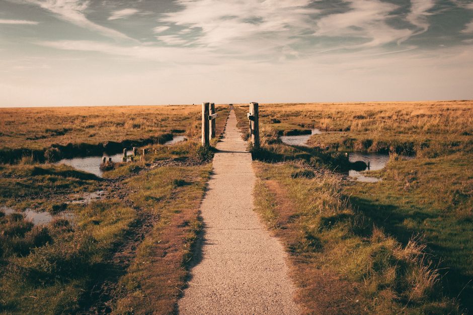 Path Forward: What Happens Next