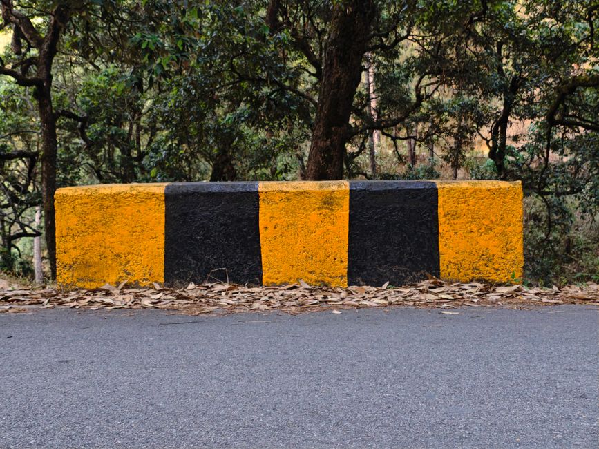 Risks and Guardrails: What Could Go Wrong
